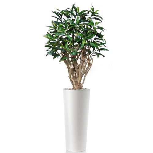 Planta semi-artificiala Ila, Mango Robusta Green - 200 cm